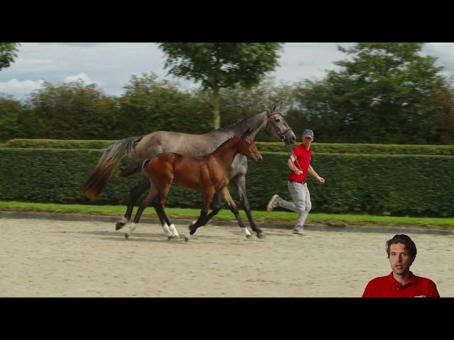 Clementine van't Pardassenhof