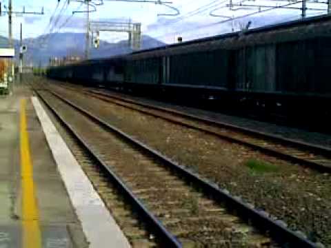 Caimano con ....Merci!!!