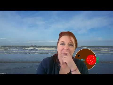 Production of chitin from shrimp shells or Chinese mitten crab: recording of the Horti-BlueC webinar