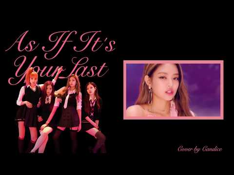 『COVER』 BLACKPINK - As if it's your Last (마지막처럼)