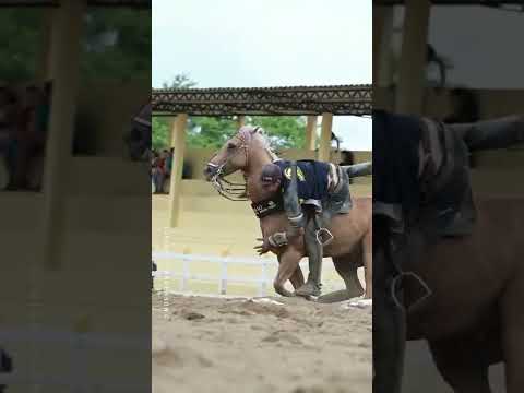 VAQUEJADA PARA STATUS ESTILO CAPA LOKA #2022 #vaquejada #fyp #boi #cavalo