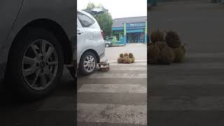 Download lagu wisata kuliner muara Enim mp3
