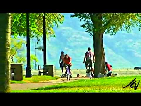 Summer Breeze - Seals & Crofts