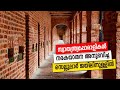 Sancharam By Santhosh George Kulangara Andaman 03 Safari TV