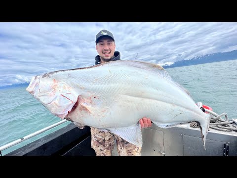 Catching GIANT Alaskan HALIBUT in Shallow Water! (Catch Clean Cook)