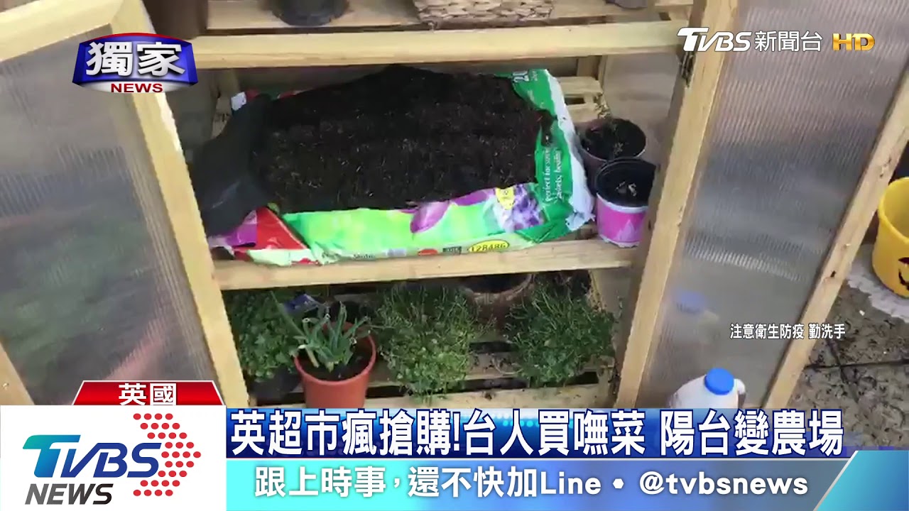 英超市瘋搶購!台人買嘸菜 陽台變農場