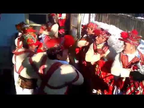 Caiutii din Bargauani .mp4