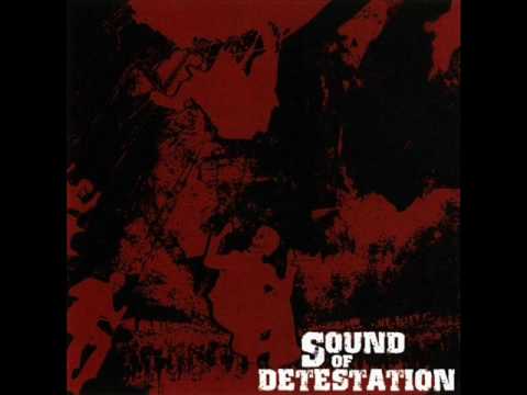 Sound of Detestation - The Storm