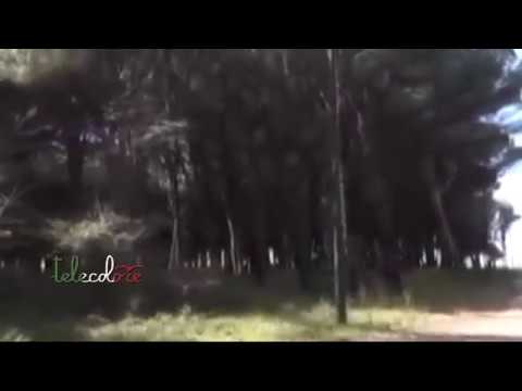 Sesso in pineta a Paestum, due uomini fermati e denunciati