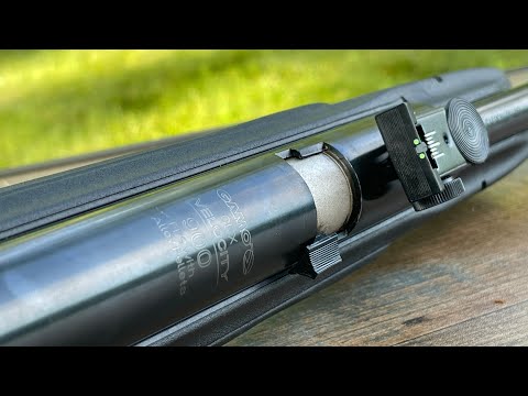 Don't buy the Gamo CFX