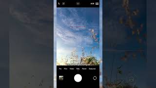 Download lagu How to Take Flower Photos Like Pinterest #photography #androidgraphy #phonegraphy #photographytri... mp3