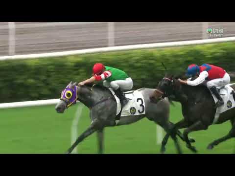 2022/23 (197) - Chiu Chow Brother (潮州大兄) - 周俊樂