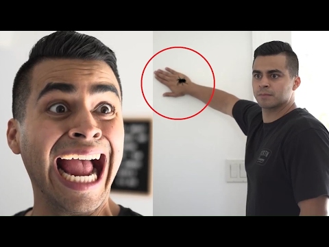 Funniest David Lopez Videos Compilation - Best David Lopez Vines, Instagram and Facebook Videos 2016