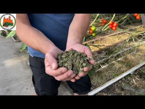 Patrick Lilli von Höfler GbR Bio-Gemüse