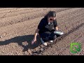 EarthScout® Soil Cub™+ 6-in-1 Soil Moisture Meter