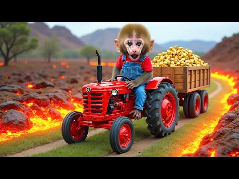 Monkey Nana drives a tractor : Discovering a gold stash and the challenge of crossing a lava pool