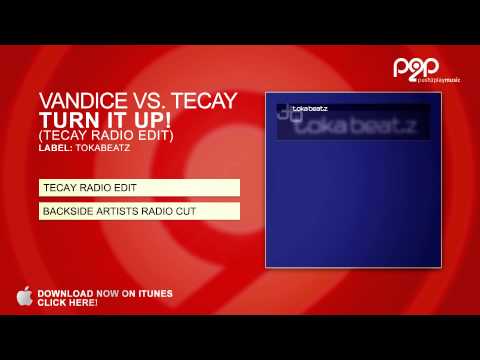 Vandice vs. TeCay - Turn It Up! (TeCay Radio Edit)