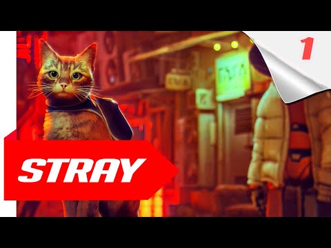 Stray Gameplay Walkthrough Part 1 [ FULL GAME ]