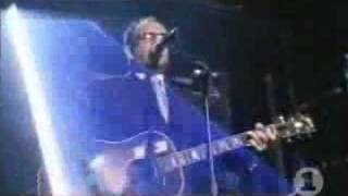 Elvis Costello - Deep Dark Truthful Mirror live
