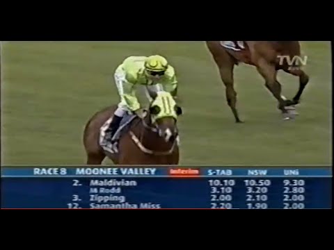 2008/2009 Season (3/9) Caulfield Guineas Day - Cox Plate Day