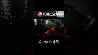 【シーバス】ノーテンミニで水面炸裂#シーバス#釣り#釣り初心者#シマノ#エクスセンス#マルジン