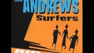 the andrews surfers--you punk !.wmv