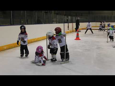 Týden hokeje ve Velké Meziříčí - 24.1.2018