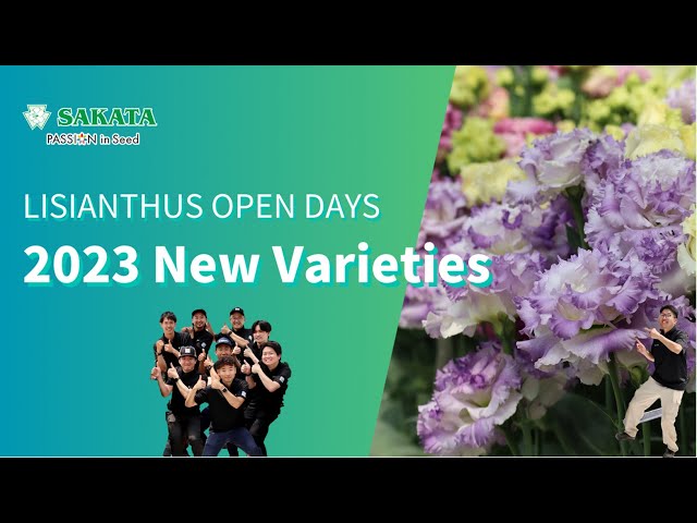 【2023 New varieties】Lisianthus open days 2023 2023/8/2