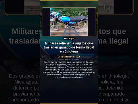 Militares retienen a sujetos que trasladan ganado de forma ilegal en Jinotega