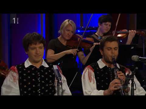 Ansambel Saša Avsenika - Na avtocesti