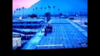 GTA V Online: 3 min of Cleaning the Cat House