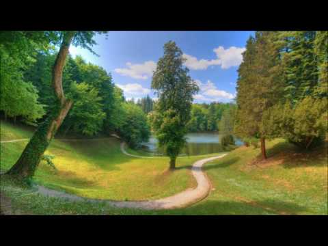 EL VAGO - NELSON MENDEZ