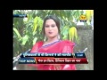 Chamcham Kinner Ki Pitai