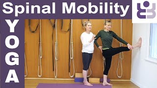 20 minute Iyengar Yoga Class for Spinal Mobility