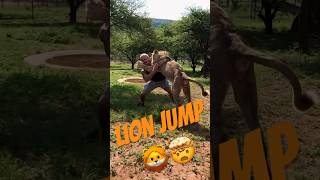 Would you Catch a Lion?🤔