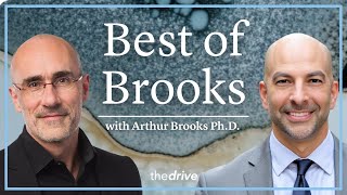 #377 ‒ Special episode: Understanding true happiness and the tools to cultivate a meaningful life