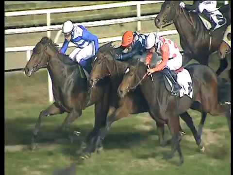 Galoppo 27/12/2017 - 4ª corsa