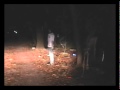 The Haunted Woods at Crumland Farms 