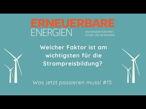 Welcher Faktor ist am wichtigsten für die Strompreisbildung? - Was jetzt passieren muss #15