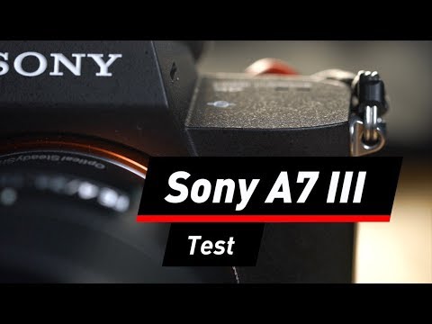 Sony A7 III: Schlanker Alleskönner im Test