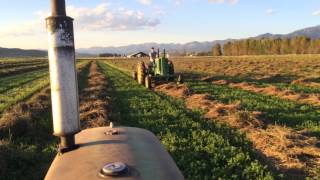 preview picture of video 'Raking Rained On Alfalfa With John Deere G and 2010 with 894 and 851 Rakes'