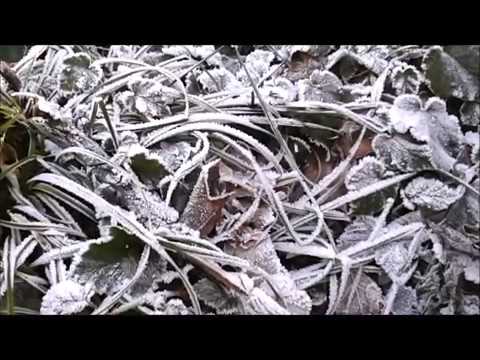 Ensemble Confettissimo - Der erste Schnee