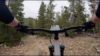 Snowshoe Hare - Golden Gate Canyon State Park - Golden - Colorado