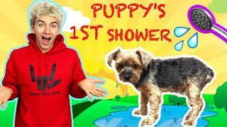 PUPPYS FIRST BATH WITH STEPHEN SHARER & LIZZY SHARER (CUTEST PUPPY SHOWER 🐶💦)