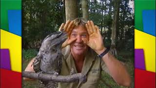 Do The Owl Intro (feat. Steve Irwin)