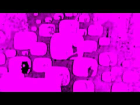 Carlos Nilmmns - How Do You Want It (Trax Records)