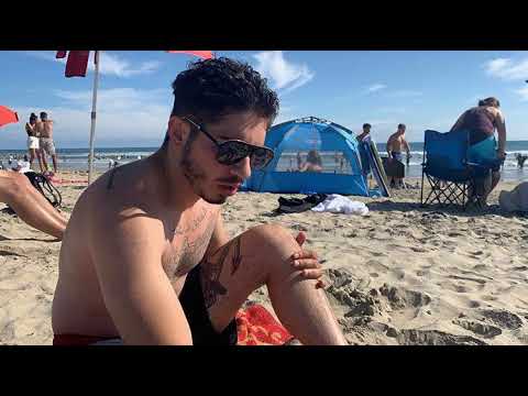 Arab Falcon "PRINCE" Old Style "صقر العرب القديم "أمير