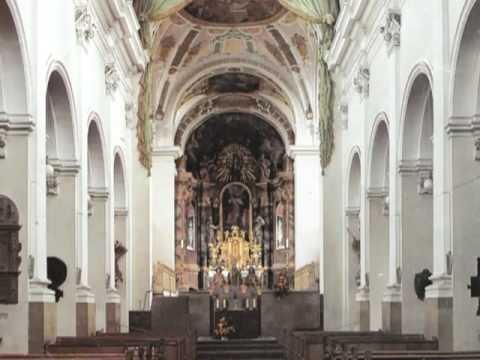 download lagu mp3 mp4 Neumünster Kirche Würzburg, download lagu Neumünster Kirche Würzburg gratis, unduh video klip Neumünster Kirche Würzburg