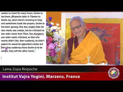 20190608 2030 LZR IVY FRANCE - About bodhicitta and when having depression cherishing others helps