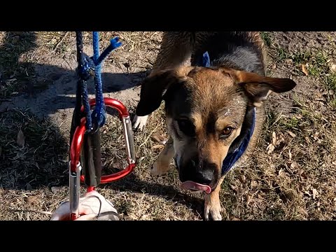 Winter Catfish Fishing, Catch Clean Cook